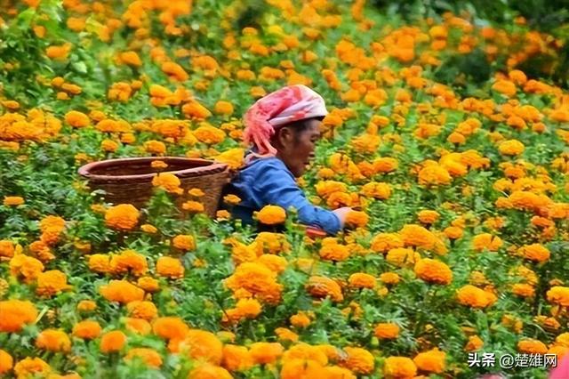 云南这18个一读就容易出错的地名！要是能读对5个算你赢