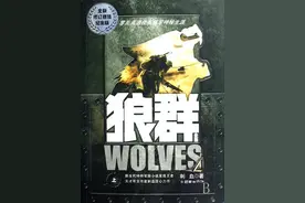 八本特种兵小说佳作，感受特种兵的爱恨情仇图片