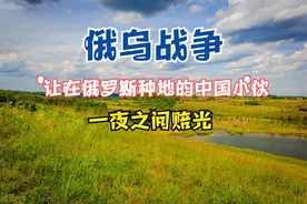 俄乌战争让在俄罗斯种地的中国小伙张京赔了不少图片