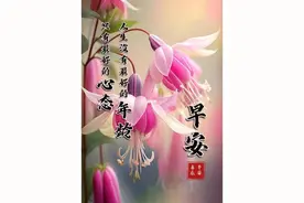 今天是个好日子，早安吉祥！图片