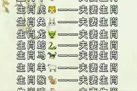 夫妻配对表，对照看看。图片