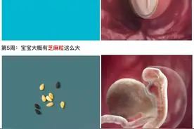 孕40周胎儿大小与蔬菜水果对照图，看100遍都不嫌多图片