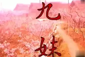 《九妹》一首从废纸篓里扒拉出来凑数的曲子，播放后却火爆全国图片