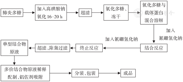 人用疫苗的分类及生产工艺