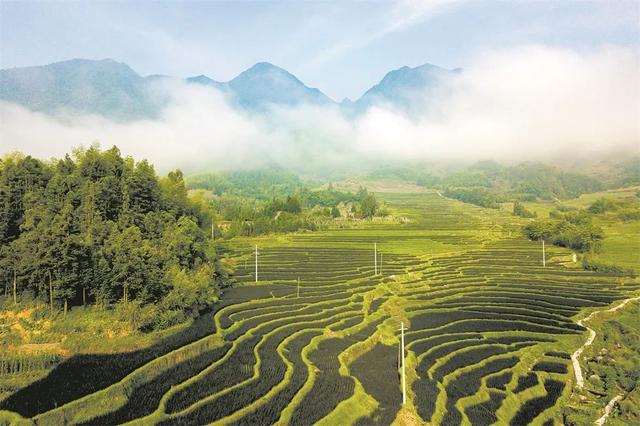 拍点发现 | 梯田风景,光影韵律