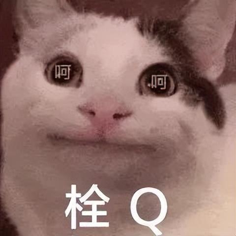 新政15天，二手房近17万套，新房到访最高涨70%，楼市反弹了吗？