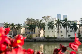 实拍广州二沙“富人岛”，景色优美游客不多，没有地铁但值得一游图片