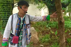 第一次去云南（十一）去玉龙雪山，途听摩梭人走婚图片