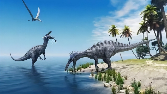 ʮ��ڿƼ���������ֲ���ŵ�3���쿴������ʲô��