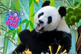 大连森林动物园开启双节狂欢模式图片