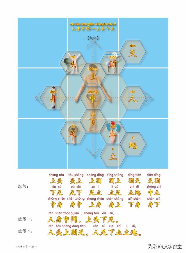快为孩子收藏吧——满身有成语：1000个人体本身部位成语大全