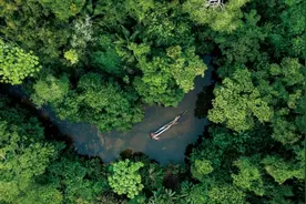 “解锁”美洲热带雨林图片