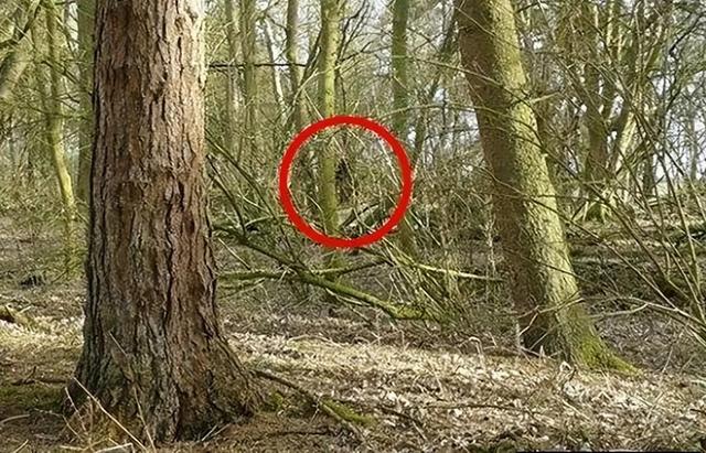 在中国发生的3大未解之谜,每个都神秘莫测,真的没人能破解吗?