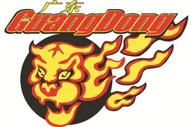 CBA各支球队背后金主大盘点！（二）图片