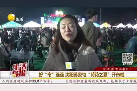 好“市”连连｜沈阳苏家屯“荷花之夏”开市啦图片