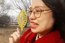 好“市”连连｜东北老妹儿推荐“烟火气”苏家屯迎春早市图片