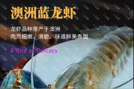 秘卤澳洲蓝龙虾—肉质Q弹、滑脆、卤香浓郁、味道鲜美图片