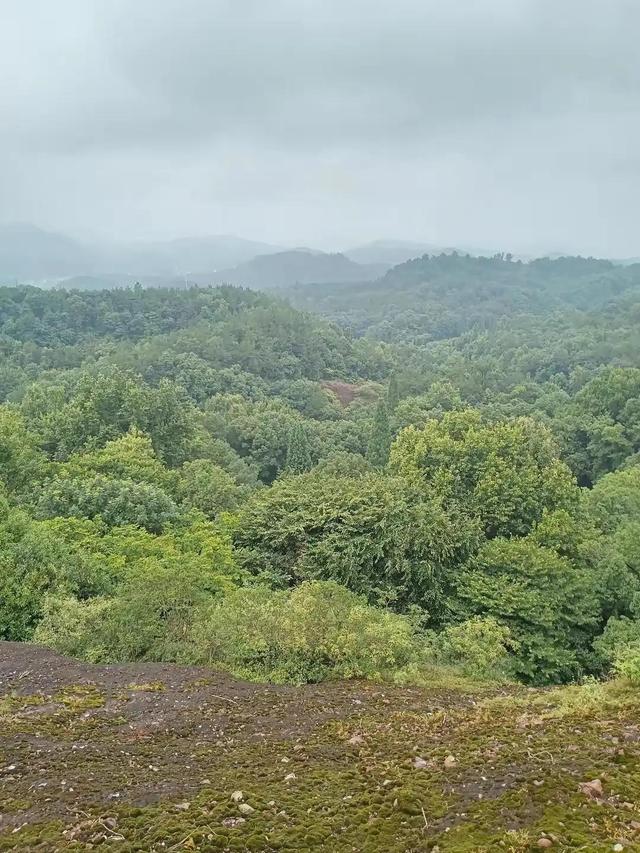 衢州柯山宝岩寺记