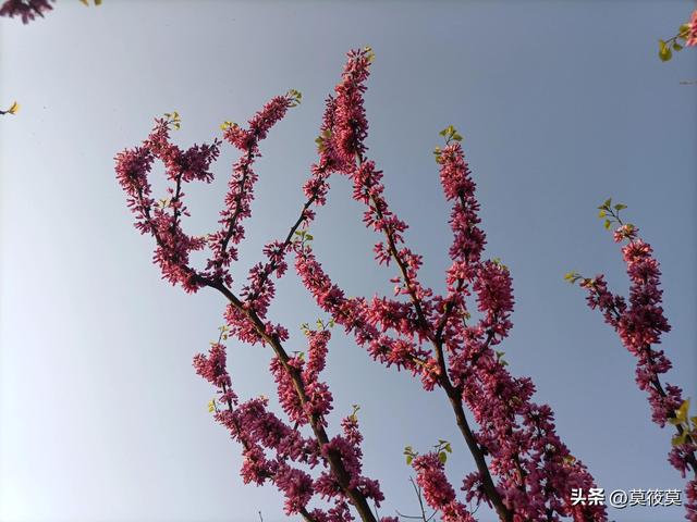 2023年 15句干净治愈的朋友圈文案 句句说到心里
