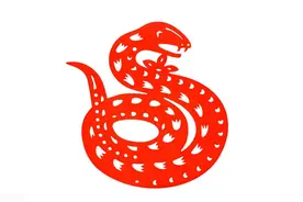 生肖蛇一生会遇到的四个贵人，他们将改变你人生的轨迹，财福双飞图片