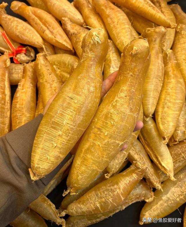 如何辨别鱼胶是否洗药水 2026年如何辨别鱼胶是否洗药水了 如何辨别鱼胶是否洗药水 2026年如何辨别鱼胶是否洗药水了