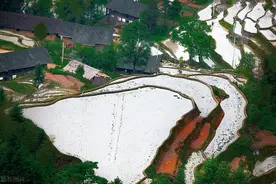 参加了红军长征的新化人：姜云清图片