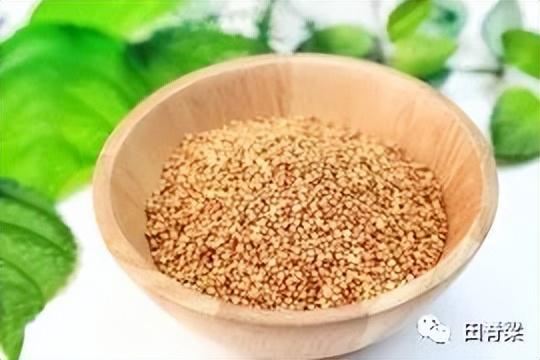 椋熺墿澶氱澶氭牱銆佷富瑕佷负璋风被