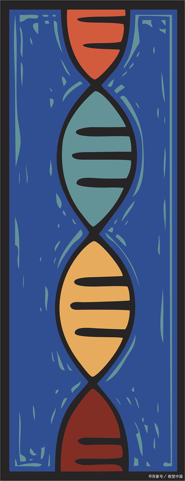 健身补剂——支链氨基酸
