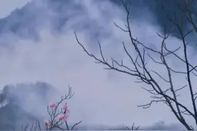 散文：知味岁月沧桑，淡品人生滋味图片