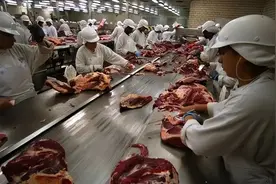 3161亿元，我国是澳大利亚的最大贸易伙伴，都从澳洲进口什么？图片