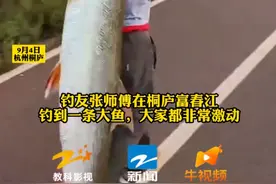 男子钓到70斤鳡鱼放弃开车一路背回家，目击者：应该是我们这边这几年钓到的最大的鱼图片