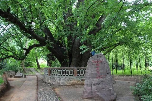 有一种叫云南的生活｜收藏！冬游楚雄最全打卡线路，带你玩转暖冬