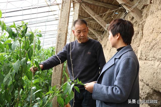 “三抓三促”行动进行时 | “产出好质量、创出好牌子、卖出好价钱”