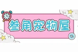 拉布拉多的优点图片