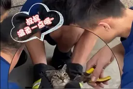 猫咪脚被鱼钩勾住，跑消防队求助…临走前被摸猫头：以后别贪吃啦图片
