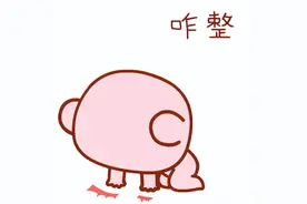 【协和医疗】11岁急危重症患儿命悬一线 儿外科分秒必争抢夺生机图片