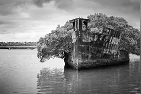 渊回说南：南怀瑾多少岁为何有如此大成就？和南师的童子功分不开图片