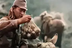 必须是大米饭：浅谈二战日军伙食图片