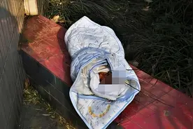 安徽50岁农妇捡回一女婴，捡破烂将她养大，如今养女给母亲建别墅图片