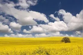 人这一生啊！（非常深刻）图片