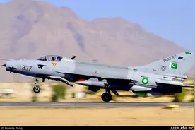 巴基斯坦军队各类标识：空军（2）图片