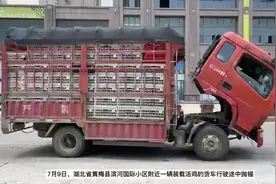 湖北黄梅：数千只活鸡将成“烤鸡” 蓝朋友“人工降雨”救鸡图片