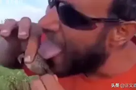 舌尖上的癞皮蛤蟆，美国瘾君子的新欢，玩毒品还得看老美图片