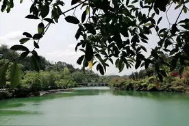 活着的意义是什么图片