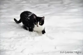 感觉最近被冻结的朋友蛮多的，如果你也被冻了，记得看下这篇图片