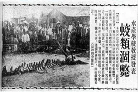 营口坠龙是真是假？龙真的存在吗？图片