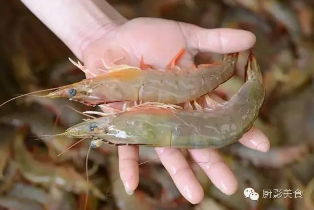 40头的花胶是几级 2025年花胶40头是什么意思?