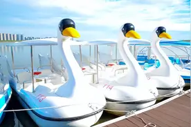 关于晋阳湖公园游船运营的公告图片