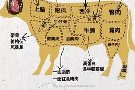 吃牛肉🐮各部位的百科知识图片