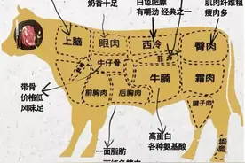 吃牛肉🐮各部位的百科知识图片